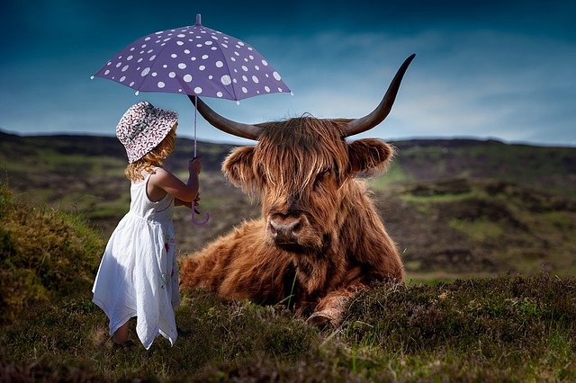 https://dailyalts.com/wp-content/uploads/2021/07/child-1429190_640.jpg https://dailyalts.com/wp-content/uploads/2021/07/child-1429190_640.jpg