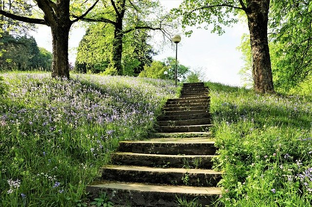 https://dailyalts.com/wp-content/uploads/2021/07/stairs-3556194_640.jpg https://dailyalts.com/wp-content/uploads/2021/07/stairs-3556194_640.jpg