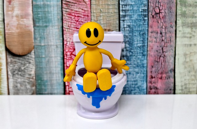 https://dailyalts.com/wp-content/uploads/2021/07/toilet-3298184_640.jpg https://dailyalts.com/wp-content/uploads/2021/07/toilet-3298184_640.jpg