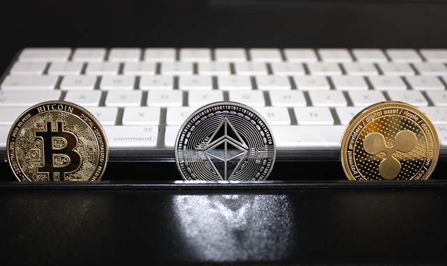 https://dailyalts.com/wp-content/uploads/2021/08/bitcoin-6237042_640.jpg https://dailyalts.com/wp-content/uploads/2021/08/bitcoin-6237042_640.jpg