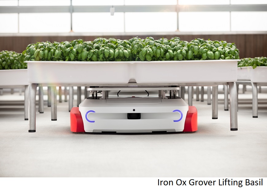 https://dailyalts.com/wp-content/uploads/2021/09/Iron-Ox-Grover-lifting-Basil-Under-Module.jpg https://dailyalts.com/wp-content/uploads/2021/09/Iron-Ox-Grover-lifting-Basil-Under-Module.jpg
