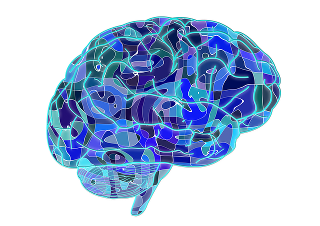 https://dailyalts.com/wp-content/uploads/2021/09/brain-951874_640.png https://dailyalts.com/wp-content/uploads/2021/09/brain-951874_640.png