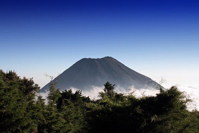 https://dailyalts.com/wp-content/uploads/2021/09/el-salvador-114022_640.jpg https://dailyalts.com/wp-content/uploads/2021/09/el-salvador-114022_640.jpg
