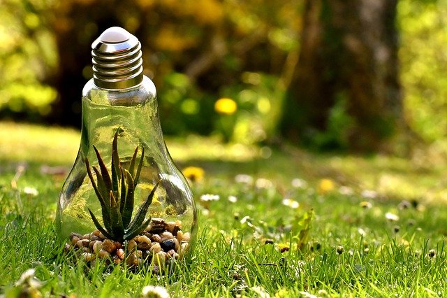 https://dailyalts.com/wp-content/uploads/2021/09/environmental-protection-3341942_640.jpg https://dailyalts.com/wp-content/uploads/2021/09/environmental-protection-3341942_640.jpg