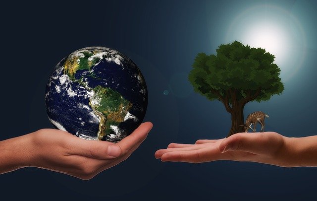 https://dailyalts.com/wp-content/uploads/2021/10/hands-gdc71621fc_640.jpg https://dailyalts.com/wp-content/uploads/2021/10/hands-gdc71621fc_640.jpg