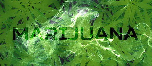https://dailyalts.com/wp-content/uploads/2021/10/marijuana-g4237088f5_640.jpg https://dailyalts.com/wp-content/uploads/2021/10/marijuana-g4237088f5_640.jpg