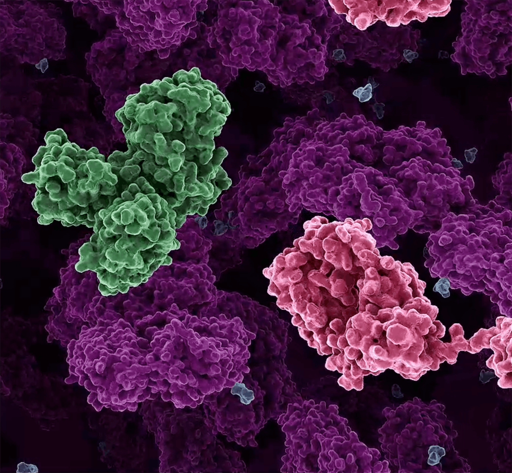 https://dailyalts.com/wp-content/uploads/2021/11/placeholder-Immune-Stealth2.png https://dailyalts.com/wp-content/uploads/2021/11/placeholder-Immune-Stealth2.png