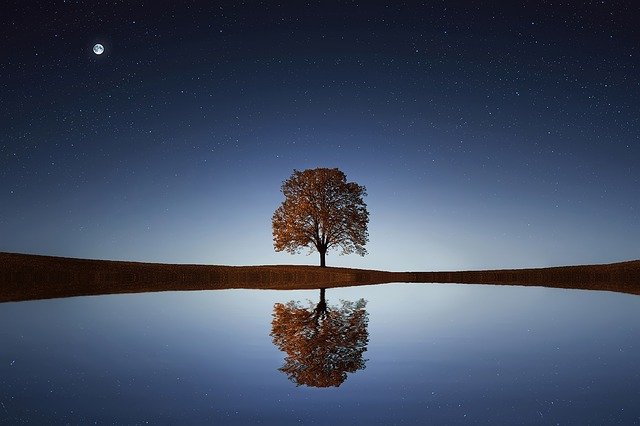 https://dailyalts.com/wp-content/uploads/2021/11/tree-g270188c3d_640.jpg https://dailyalts.com/wp-content/uploads/2021/11/tree-g270188c3d_640.jpg