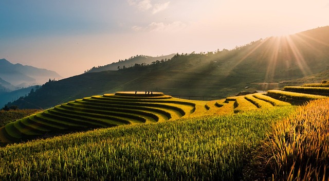 https://dailyalts.com/wp-content/uploads/2022/04/vietnam-gf3023d9c4_640.jpg https://dailyalts.com/wp-content/uploads/2022/04/vietnam-gf3023d9c4_640.jpg