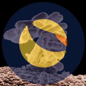 https://dailyalts.com/wp-content/uploads/2022/05/bacteria-g0d4c93622_640-overlay.png https://dailyalts.com/wp-content/uploads/2022/05/bacteria-g0d4c93622_640-overlay.png