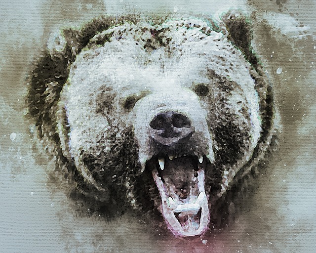 https://dailyalts.com/wp-content/uploads/2022/07/bear-3895109_640.jpg https://dailyalts.com/wp-content/uploads/2022/07/bear-3895109_640.jpg